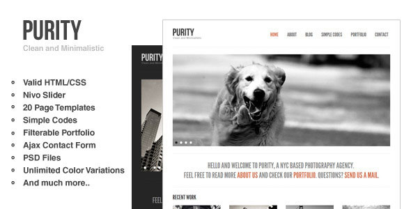 Purity: Clean, Minimal & Bold Website Template