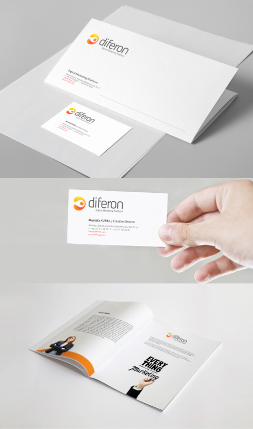 Branding, Visual Identity and Logo Ddesigns 24-1