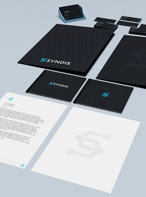 Branding, Visual Identity and Logo Ddesigns 25-2