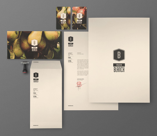 fruita21 35 Perfect Examples Of Branding Design