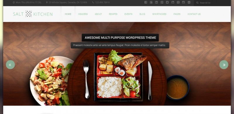 SaltKitchen WordPress Theme