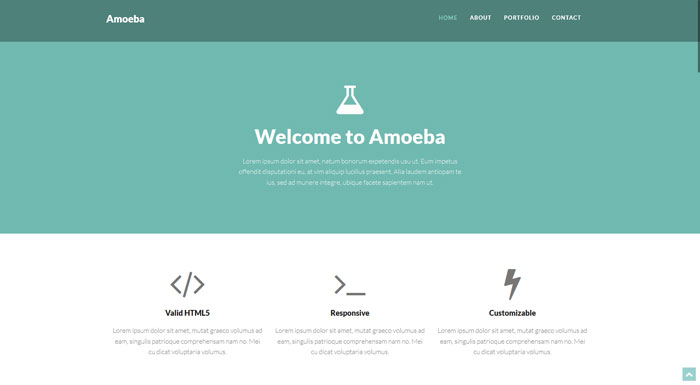 amoeba Free Bootstrap 3 Template