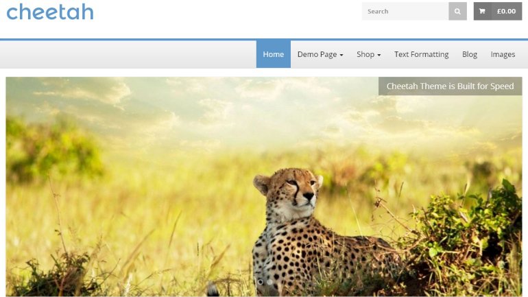 14 cheetah thiet ke website ban hang mien phi