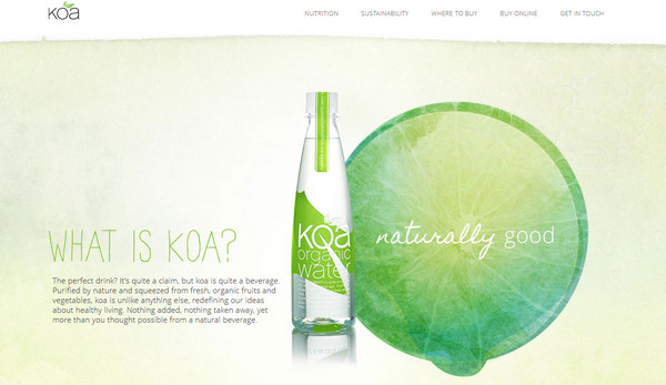 koa water thiet ke web single page