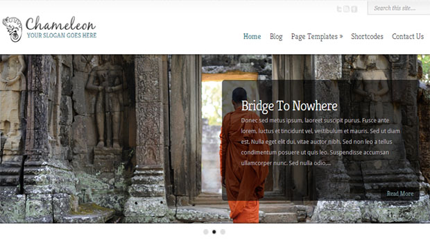 chameleon tourism wordpress responsive theme thiet ke web du lich