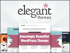 elegant themes thiet ke web nha hang