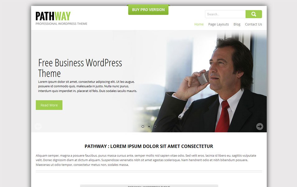 skt pathway free portfolio wordpress theme thiet ke web