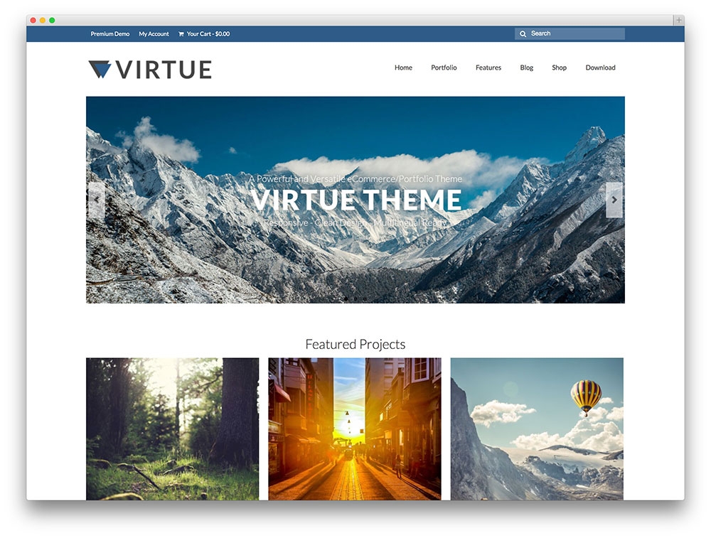 Virtue Portfolio theme