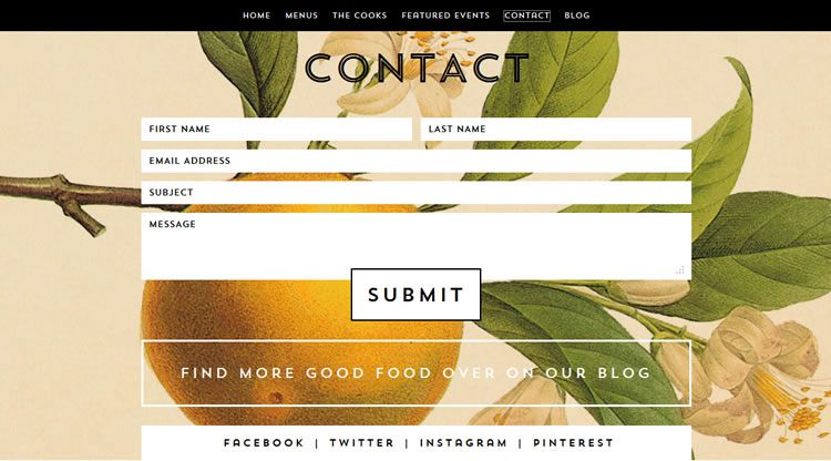 the original design Sliding Contact Page f-rom Whoa Nelly Catering